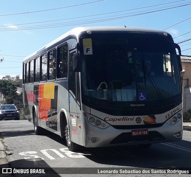 Transportes Capellini 13394 na cidade de Campinas, São Paulo, Brasil, por Leonardo Sebastiao dos Santos Rodrigues. Número da foto: #9573447.