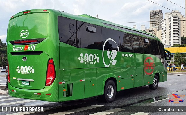 Transwolff Transportes e Turismo VEÍCULO 100% ELÉTRICO na cidade de São Paulo, São Paulo, Brasil, por Claudio Luiz. Número da foto: #9572927.