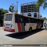 Hernandárias Trans-Tur 56 na cidade de Ciudad del Este, Alto Paraná, Paraguai, por Marco Silva. Número da foto: #9572469.