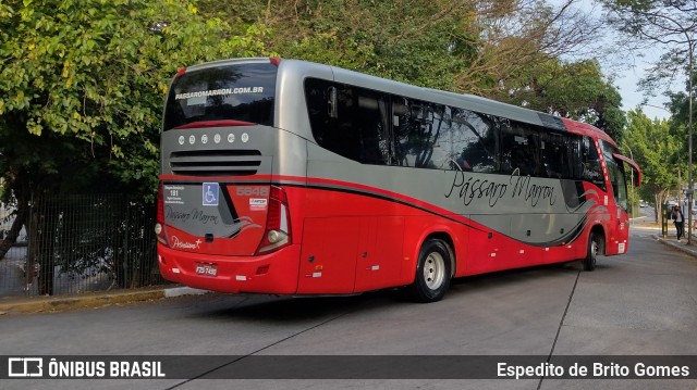 Empresa de Ônibus Pássaro Marron 5646 na cidade de São Paulo, São Paulo, Brasil, por Espedito de Brito Gomes. Número da foto: #9576423.