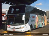 Eucatur - Empresa União Cascavel de Transportes e Turismo 4201 na cidade de Ubiratã, Paraná, Brasil, por Kauan Lucio. Número da foto: #:id.