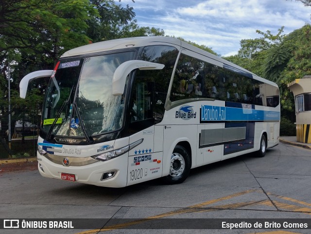 VIDA - Viação Danúbio Azul 19020 na cidade de São Paulo, São Paulo, Brasil, por Espedito de Brito Gomes. Número da foto: #9584965.