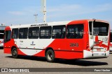 Itajaí Transportes Coletivos 2843 na cidade de Campinas, São Paulo, Brasil, por Franz Hecher. Número da foto: #9588525.