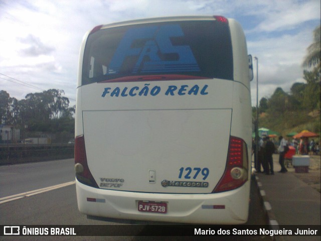 Falcão Real 1279 na cidade de Simões Filho, Bahia, Brasil, por Mario dos Santos Nogueira Junior. Número da foto: #9592390.