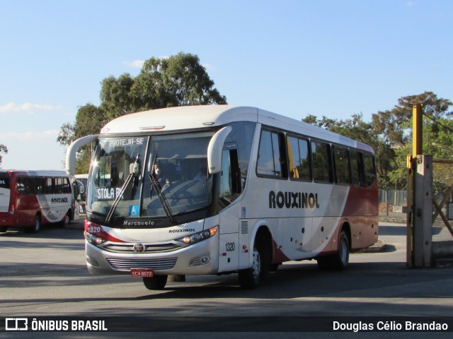 Rouxinol 1320 na cidade de Belo Horizonte, Minas Gerais, Brasil, por Douglas Célio Brandao. Número da foto: #9592022.