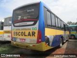 Águia Dourada 2089 na cidade de Simão Dias, Sergipe, Brasil, por Rafael Rodrigues Forencio. Número da foto: #:id.