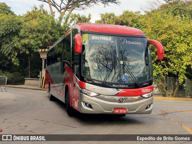 Empresa de Ônibus Pássaro Marron 6001 na cidade de São Paulo, São Paulo, Brasil, por Espedito de Brito Gomes. Número da foto: #9594729.