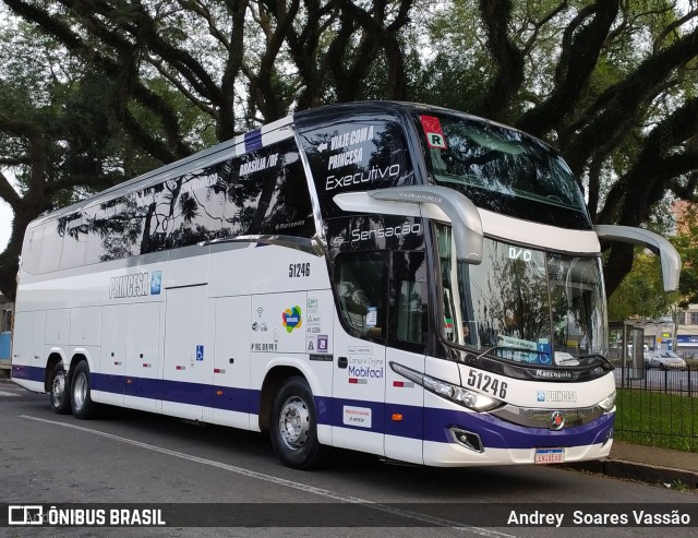 Princesa do Norte 51246 na cidade de Curitiba, Paraná, Brasil, por Andrey  Soares Vassão. Número da foto: #9593707.
