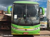 Pássaro Verde 11104 na cidade de Itamarandiba, Minas Gerais, Brasil, por Moisés Lourenço. Número da foto: #:id.