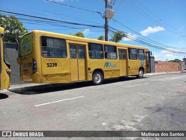 AVP - Auto Viação Paraíso 5239 na cidade de Aracaju, Sergipe, Brasil, por Matheus dos Santos. Número da foto: #9599612.