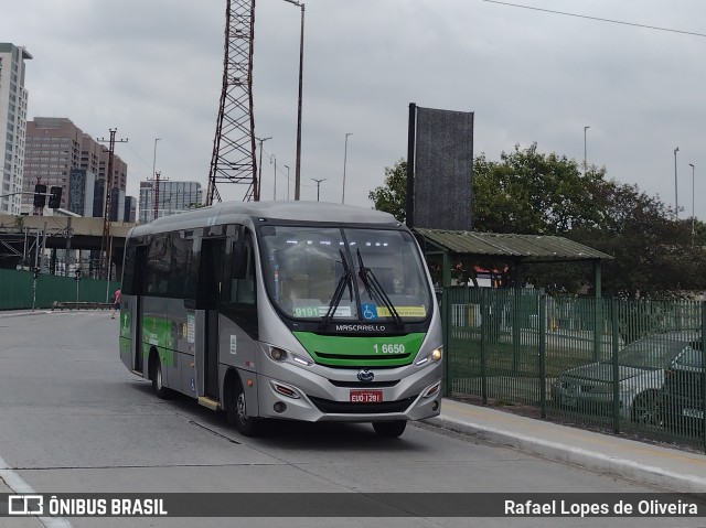 Transcooper > Norte Buss 1 6650 na cidade de São Paulo, São Paulo, Brasil, por Rafael Lopes de Oliveira. Número da foto: #9599200.