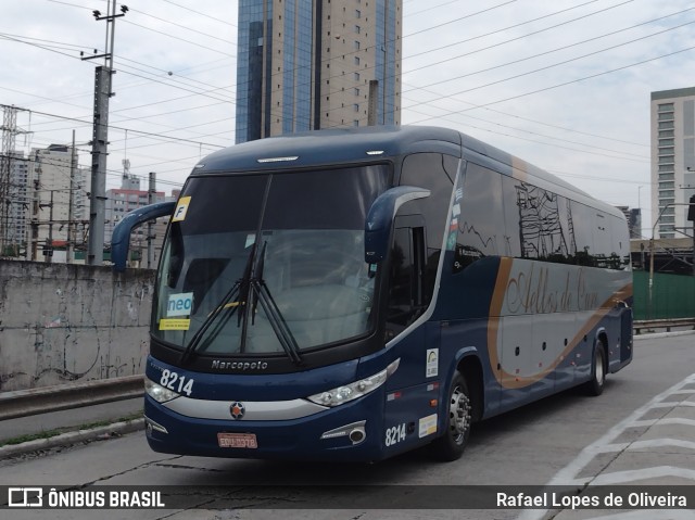 Bia Turismo > Aellos de Ouro 8214 na cidade de São Paulo, São Paulo, Brasil, por Rafael Lopes de Oliveira. Número da foto: #9602234.