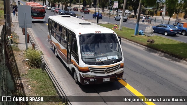 Bupesa 292 na cidade de Maipú, Santiago, Metropolitana de Santiago, Chile, por Benjamín Tomás Lazo Acuña. Número da foto: #9523089.