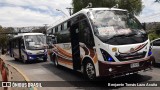 Bupesa 119 na cidade de Maipú, Santiago, Metropolitana de Santiago, Chile, por Benjamín Tomás Lazo Acuña. Número da foto: #9520767.