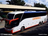 Catedral Turismo 18231 na cidade de Ribeirão Preto, São Paulo, Brasil, por Daniel De Souza. Número da foto: #9606314.