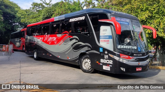 Empresa de Ônibus Pássaro Marron 8802 na cidade de São Paulo, São Paulo, Brasil, por Espedito de Brito Gomes. Número da foto: #9609933.