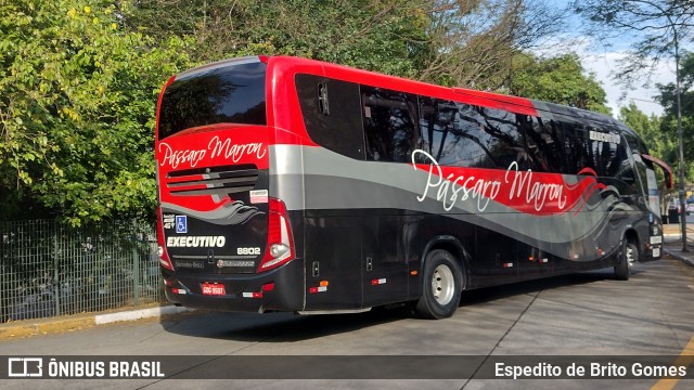 Empresa de Ônibus Pássaro Marron 8802 na cidade de São Paulo, São Paulo, Brasil, por Espedito de Brito Gomes. Número da foto: #9609937.