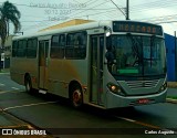 Rosa Turismo 1432 na cidade de Tatuí, São Paulo, Brasil, por Carlos Augusto. Número da foto: #:id.