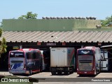 Expresso Mato Grosso do Sul 3098 na cidade de Presidente Prudente, São Paulo, Brasil, por Francisco Ivano. Número da foto: #9525033.