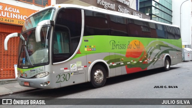 Transbrisul - Transportes Brisas do Sul 230 na cidade de Porto Alegre, Rio Grande do Sul, Brasil, por JULIO SILVA. Número da foto: #9529144.
