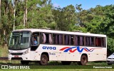 AVOA - Auto Viação Ourinhos Assis 21033 na cidade de Ourinhos, São Paulo, Brasil, por Francisco Ivano. Número da foto: #9533963.