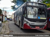 Auto Viação Urubupungá 00852 na cidade de Cajamar, São Paulo, Brasil, por Pedro Henrique Rodrigues . Número da foto: #9534408.
