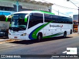 Ipojucatur 662 na cidade de Sumaré, São Paulo, Brasil, por Henrique Alves de Paula Silva. Número da foto: #9536328.