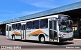 Jandaia Transportes e Turismo 1920 na cidade de Presidente Prudente, São Paulo, Brasil, por Francisco Ivano. Número da foto: #9536571.