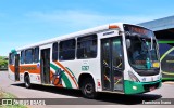 Empresa de Transportes Andorinha 6367 na cidade de Presidente Prudente, São Paulo, Brasil, por Francisco Ivano. Número da foto: #9536680.