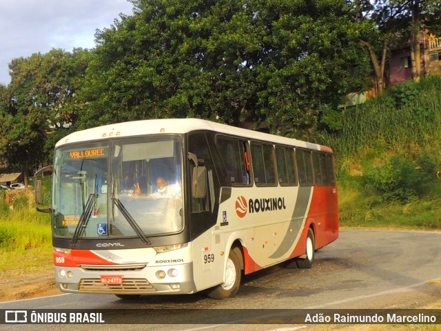 Rouxinol 959 na cidade de Belo Horizonte, Minas Gerais, Brasil, por Adão Raimundo Marcelino. ID da foto: 8615471.