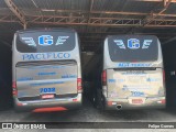 Pacífico Transporte e Turismo 7032 na cidade de São Paulo, São Paulo, Brasil, por Felipe Gomes. Número da foto: #:id.