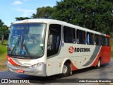 Rouxinol 323 na cidade de Belo Horizonte, Minas Gerais, Brasil, por Adão Raimundo Marcelino. Número da foto: #8615537.