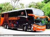 Catedral Turismo 20333 na cidade de São Paulo, São Paulo, Brasil, por Kelvin Silva Caovila Santos. Número da foto: #8648336.