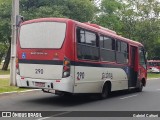 ATL - Associação dos Transportadores de Passageiros por Lotação 290 na cidade de Porto Alegre, Rio Grande do Sul, Brasil, por Gabriel Cafruni. Número da foto: #8647052.