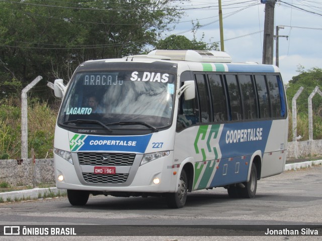 Coopertalse 227 na cidade de Aracaju, Sergipe, Brasil, por Jonathan Silva. Número da foto: #8651766.