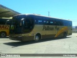 Pullman Sur 249 na cidade de Valdivia, Los Ríos, Chile, por Aldo Melgarejo. Número da foto: #8653524.