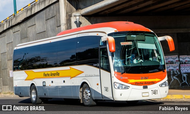 Flecha Amarilla 7461 na cidade de Morelia, Michoacán, México, por Fabián Reyes. Número da foto: #8654643.