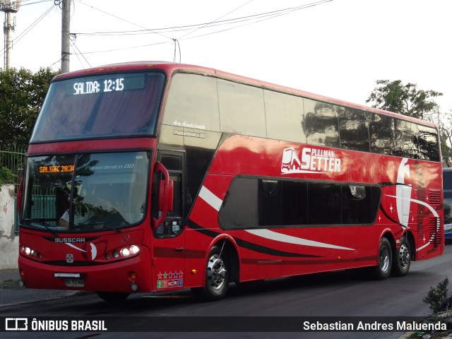 Pullman Setter  na cidade de Estación Central, Santiago, Metropolitana de Santiago, Chile, por Sebastian Andres Maluenda. Número da foto: #8655040.