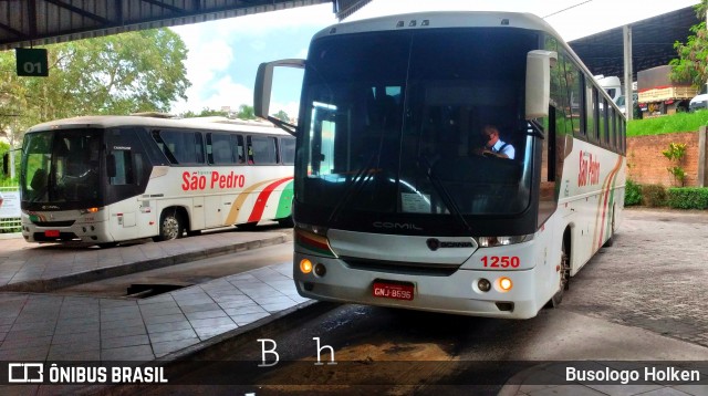 Expresso São Pedro 1250 na cidade de Santa Maria, Rio Grande do Sul, Brasil, por Busologo Holken. Número da foto: #8654319.
