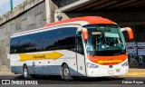 Flecha Amarilla 7461 na cidade de Morelia, Michoacán, México, por Fabián Reyes. Número da foto: #8654643.