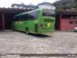 Pássaro Verde 15127 na cidade de Viçosa, Minas Gerais, Brasil, por Tulio Silva. Número da foto: #:id.