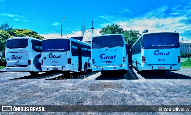 Citral Transporte e Turismo 10063 na cidade de São Leopoldo, Rio Grande do Sul, Brasil, por Elizeu Oliveira. ID da foto: 8657730.