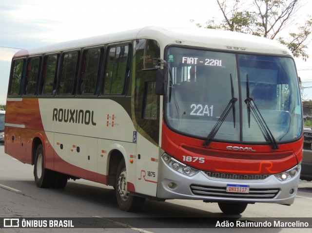 Rouxinol 1875 na cidade de Belo Horizonte, Minas Gerais, Brasil, por Adão Raimundo Marcelino. Número da foto: #8665305.