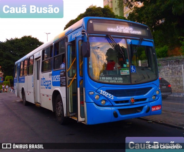 Concessionária Salvador Norte - CSN Transportes 10255 na cidade de Salvador, Bahia, Brasil, por Cauã Cauazinho. Número da foto: #8664152.