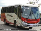 Rouxinol 1875 na cidade de Belo Horizonte, Minas Gerais, Brasil, por Adão Raimundo Marcelino. Número da foto: #8665305.