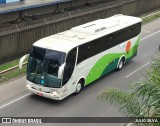 Luiz Turismo Viagens e Excursões 5003 na cidade de Porto Alegre, Rio Grande do Sul, Brasil, por JULIO SILVA. Número da foto: #8665982.