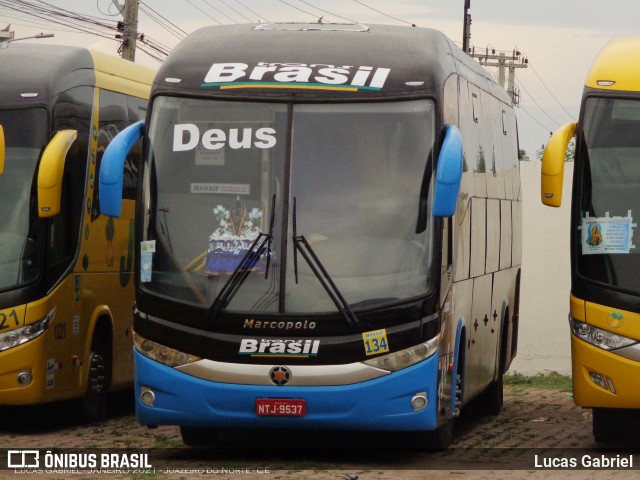 Gado Bravo Turismo 7950 na cidade de Juazeiro do Norte, Ceará, Brasil, por Lucas Gabriel. Número da foto: #8617308.