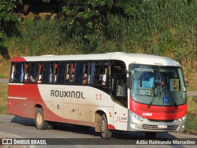 Rouxinol 2066 na cidade de Belo Horizonte, Minas Gerais, Brasil, por Adão Raimundo Marcelino. Número da foto: #8670227.