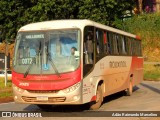 Rouxinol 2025 na cidade de Belo Horizonte, Minas Gerais, Brasil, por Adão Raimundo Marcelino. Número da foto: #8670219.