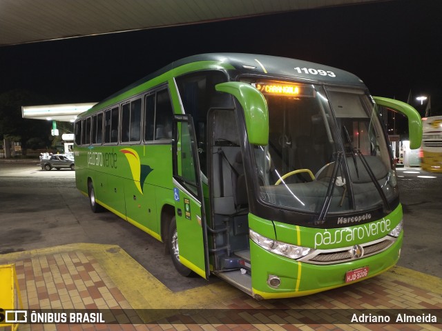 Pássaro Verde 11093 na cidade de João Monlevade, Minas Gerais, Brasil, por Adriano  Almeida. Número da foto: #8672745.